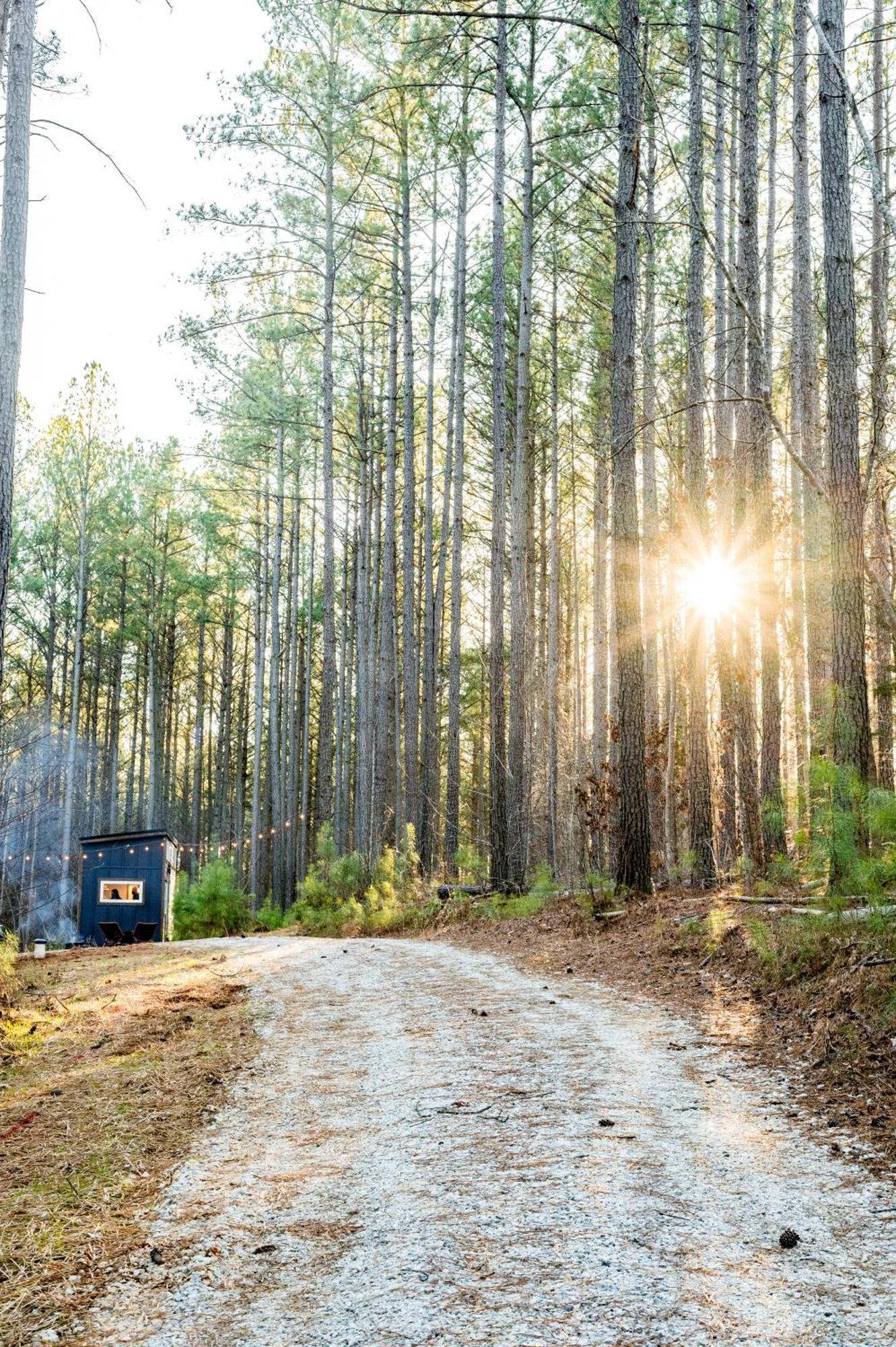 Amherst Pine Creek Tiny Houseヴィラ エクステリア 写真