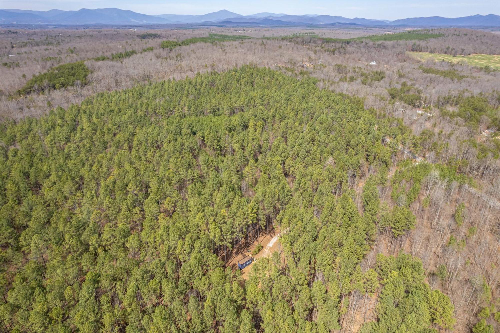Amherst Pine Creek Tiny Houseヴィラ エクステリア 写真