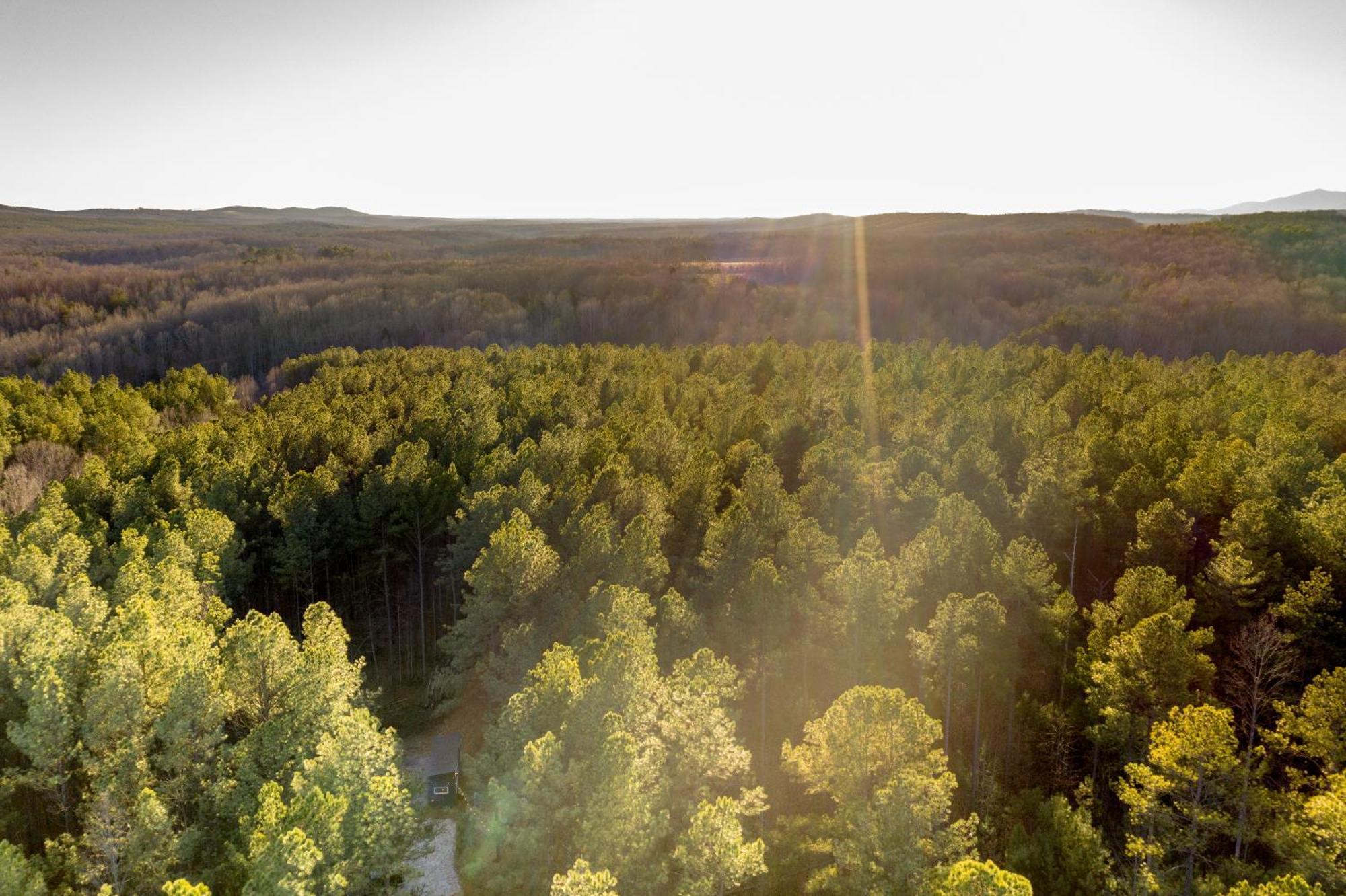 Amherst Pine Creek Tiny Houseヴィラ エクステリア 写真