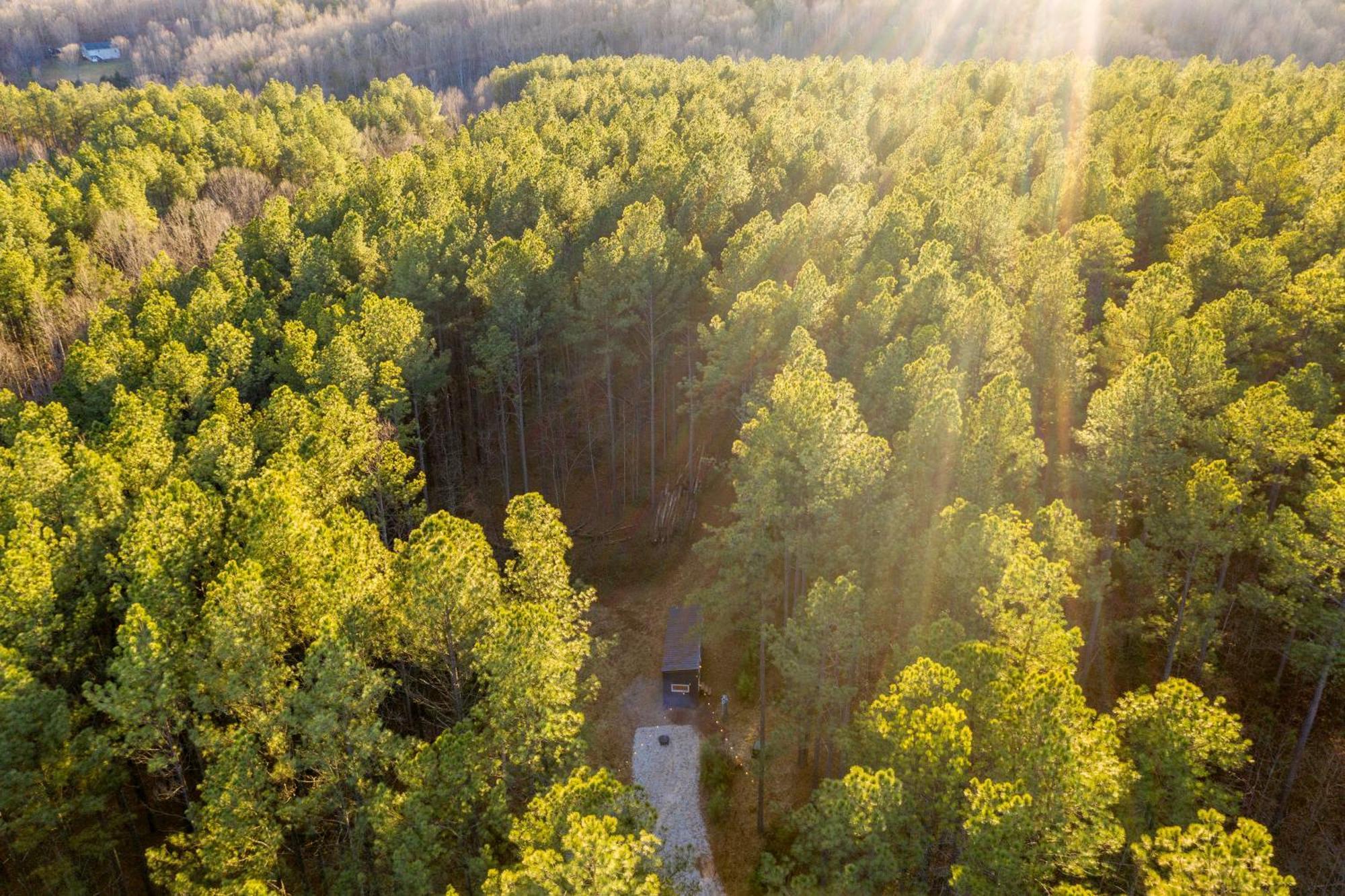 Amherst Pine Creek Tiny Houseヴィラ エクステリア 写真