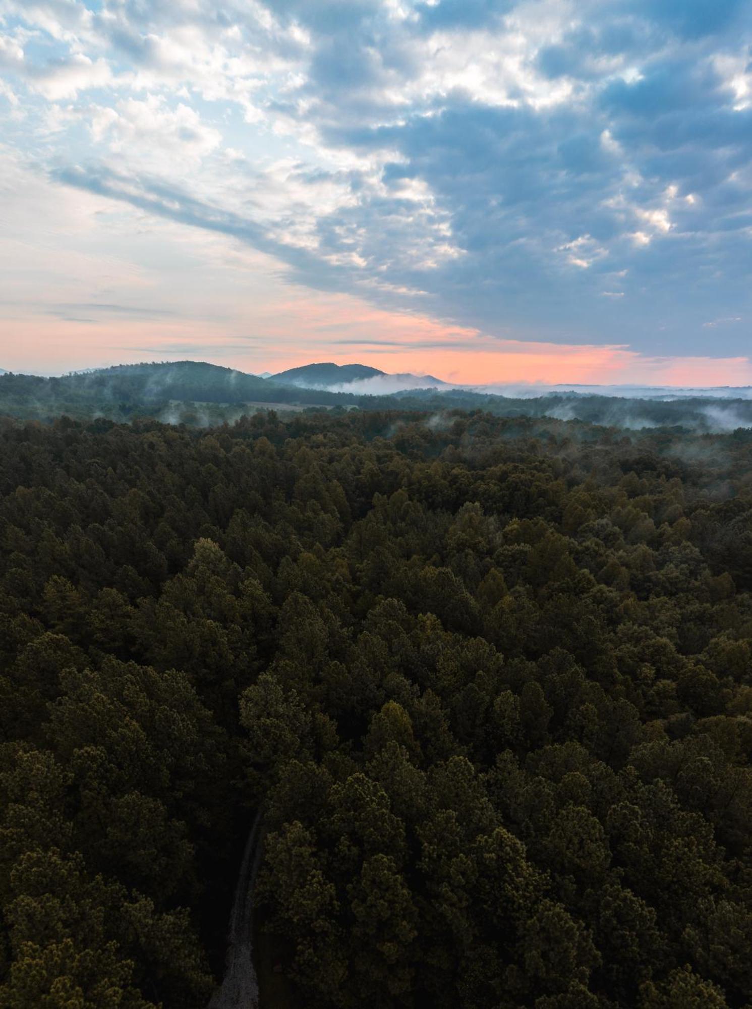 Amherst Pine Creek Tiny Houseヴィラ エクステリア 写真
