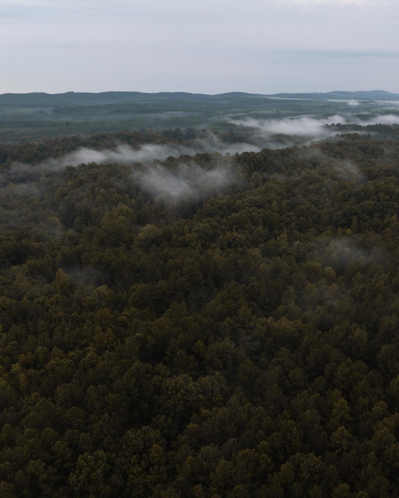 Amherst Pine Creek Tiny Houseヴィラ エクステリア 写真