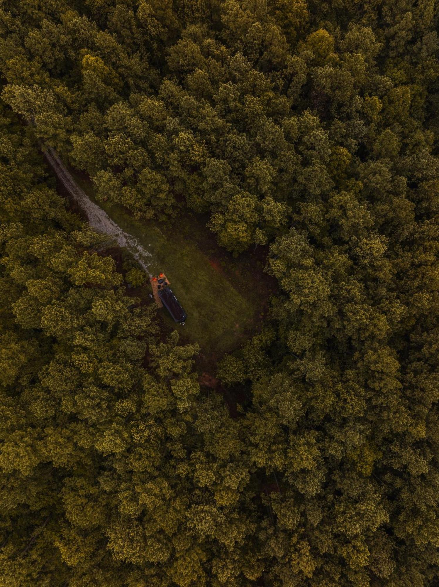 Amherst Pine Creek Tiny Houseヴィラ エクステリア 写真